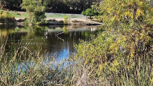 Building Photo - 24212 Davida