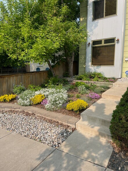 Front Cottage Garden - 3639 Mariposa Street