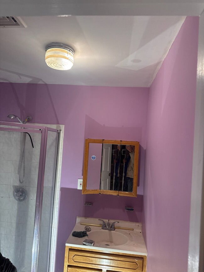 Mstr bath_purple accent walls - 67 Rose Ter