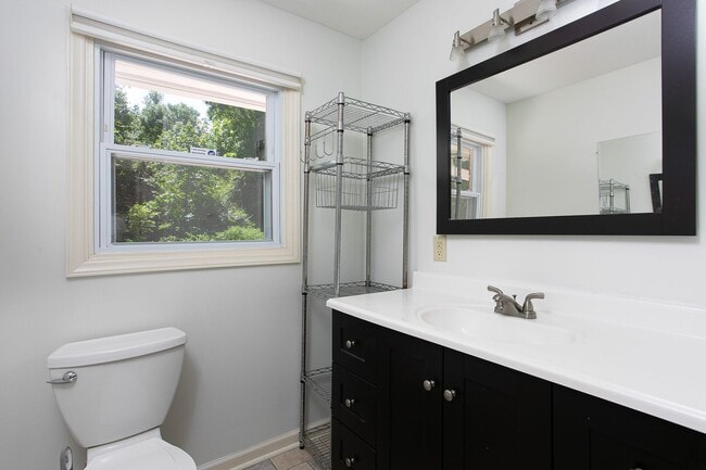 Building Photo - Spacious 1 Bedroom Duplex close to UNC Campus - Updated, Pet Friendly, Private Wooded Lot!