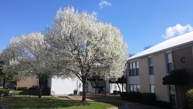 Building Photo - 246 White Bridge Pike