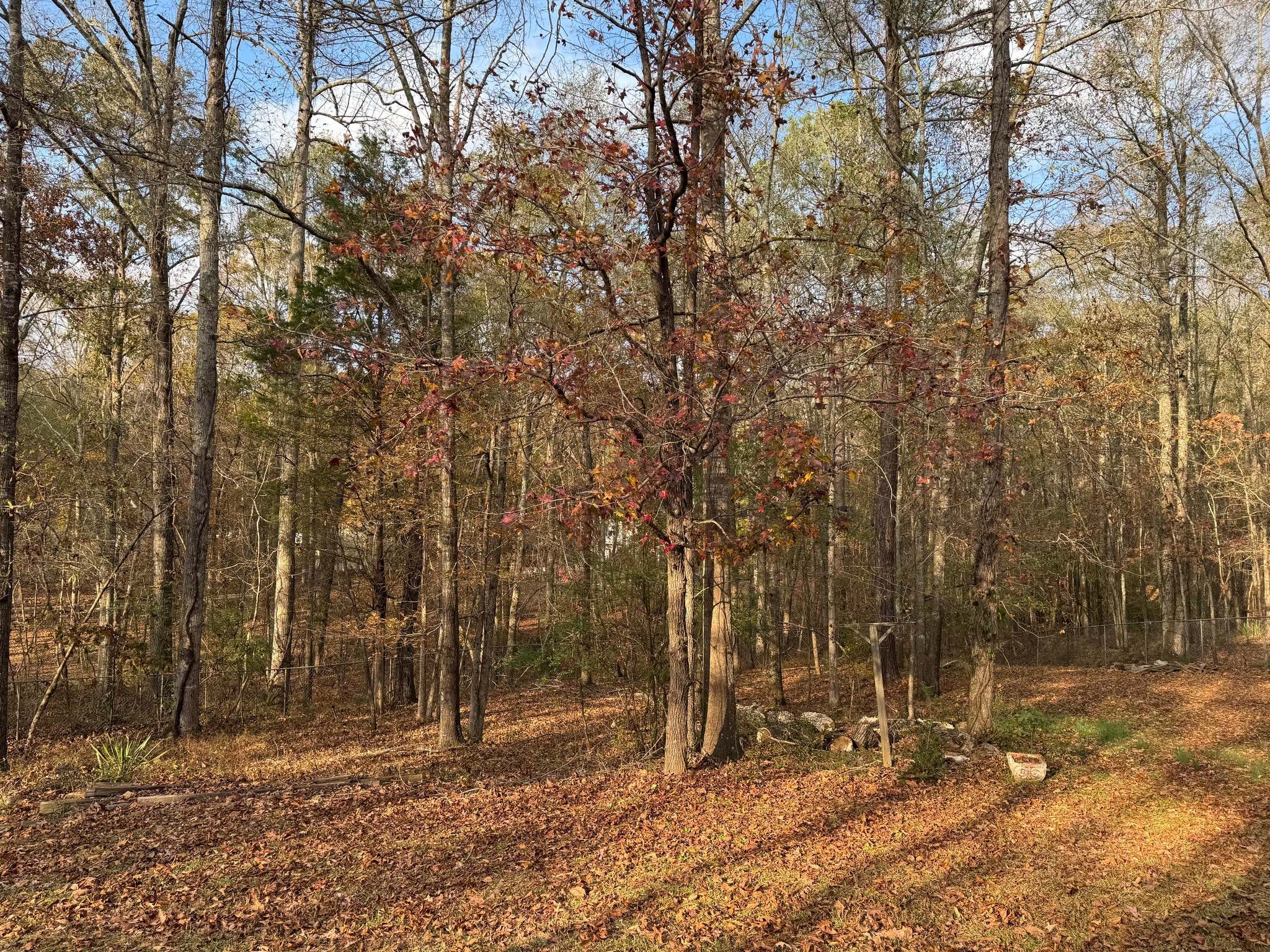 Fenced Backyard - 129 Winchester Dr