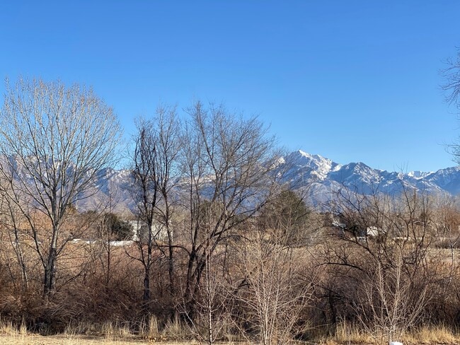 View from backyard - 5577 S Walden Glen Dr