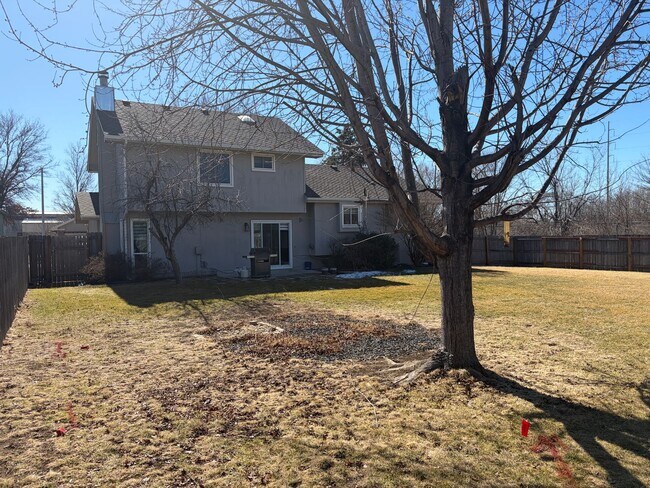 Building Photo - New Rental