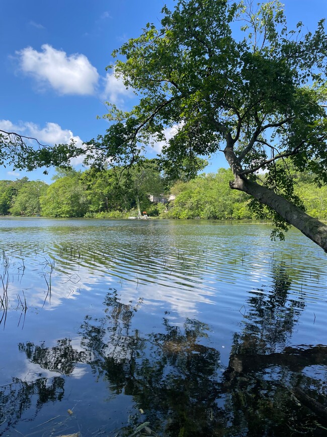 Lake ( fishing, boating ). - 472 Yaphank Middle Island Rd