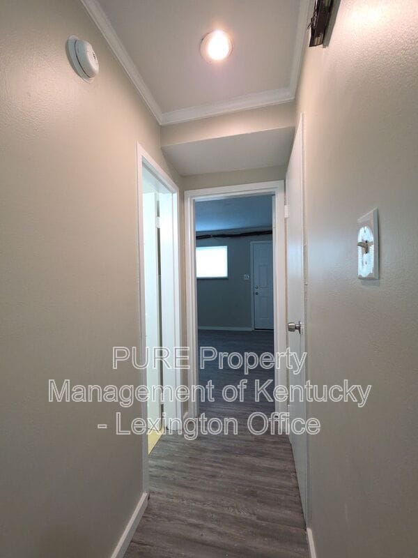 Building Photo - 1685 Alexandria Dr