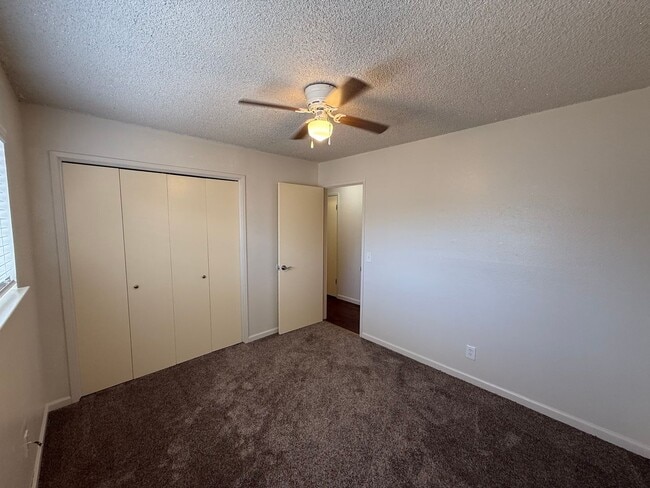 Building Photo - 3-bedroom single story in the heart of Tur...