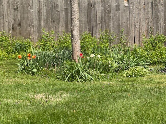 Building Photo - 729 Luckystone Ave