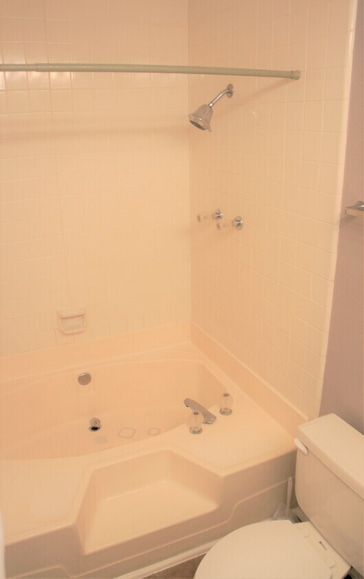 Tub area - 2209 S Braeswood Blvd