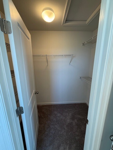 Building Photo - 50 N Conifer Dr