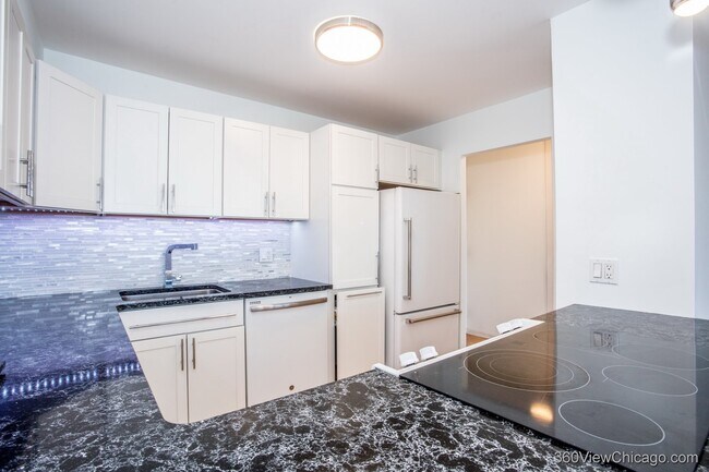 Building Photo - 1560 N Sandburg Terrace