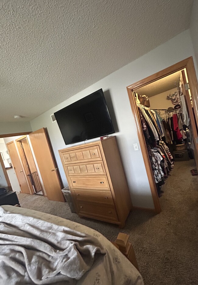 Master bedroom & walk in closet - 6382 207th Street North