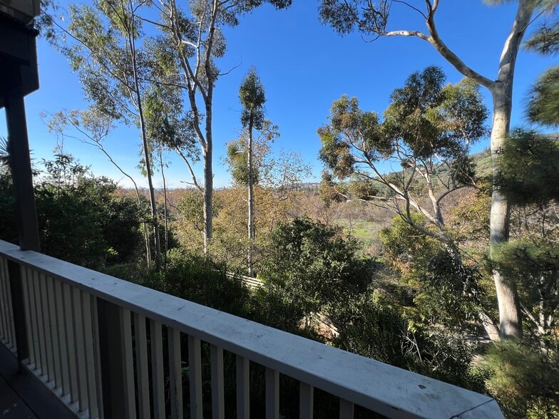 View From Deck and the Ocean Horizon - 3623 Serra Rd