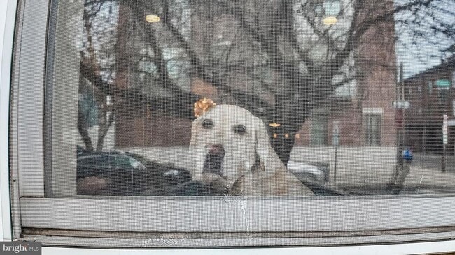 Building Photo - 434 Catharine St