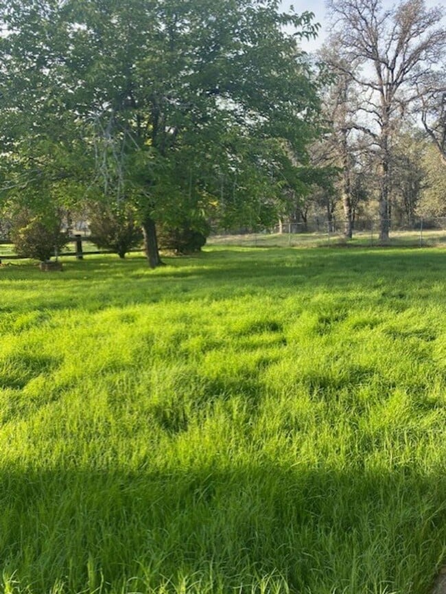 Building Photo - Nice Ranch Style House on 1 acre!!