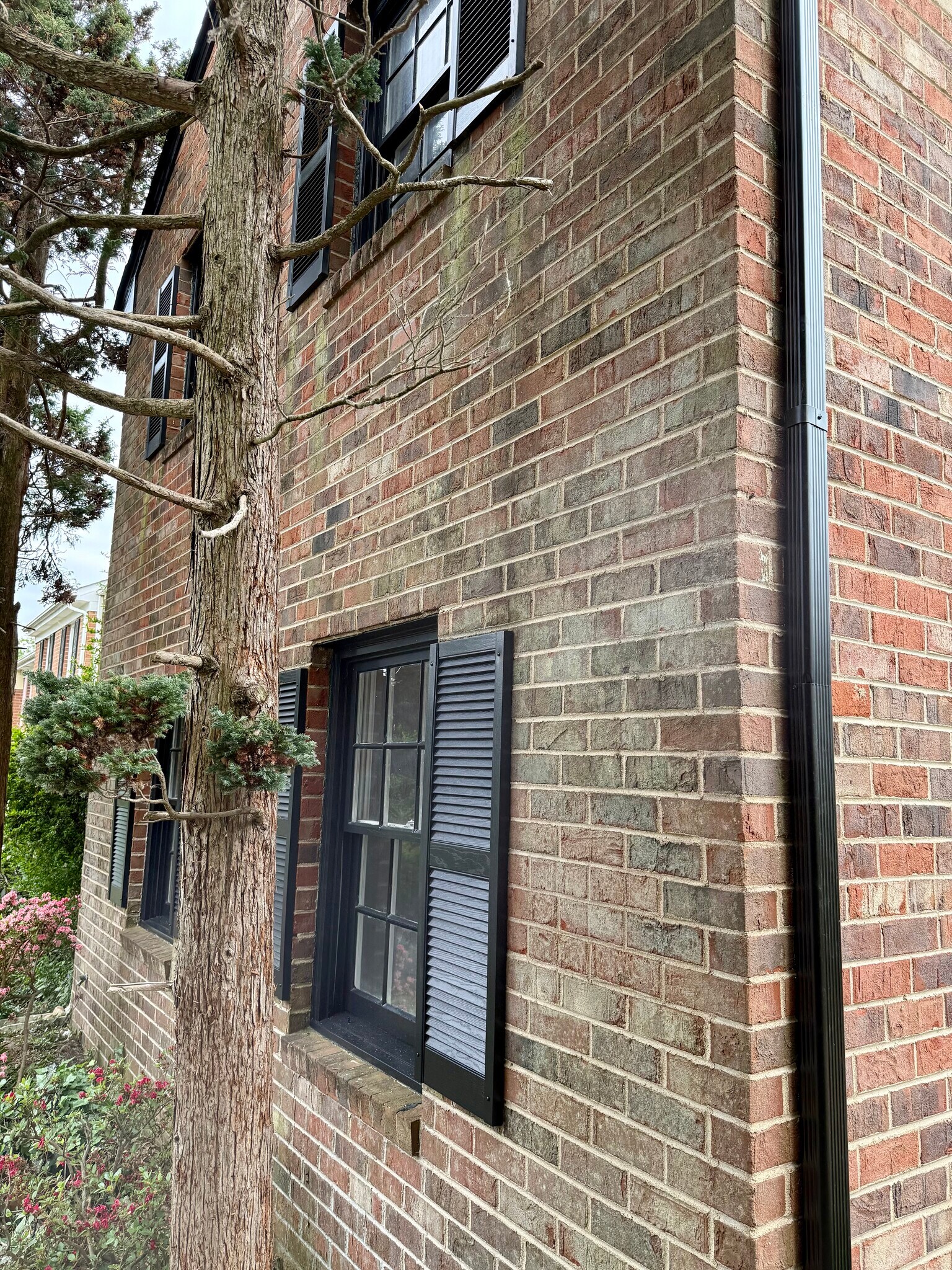Building Photo - 727 Olde Greenwich Cir