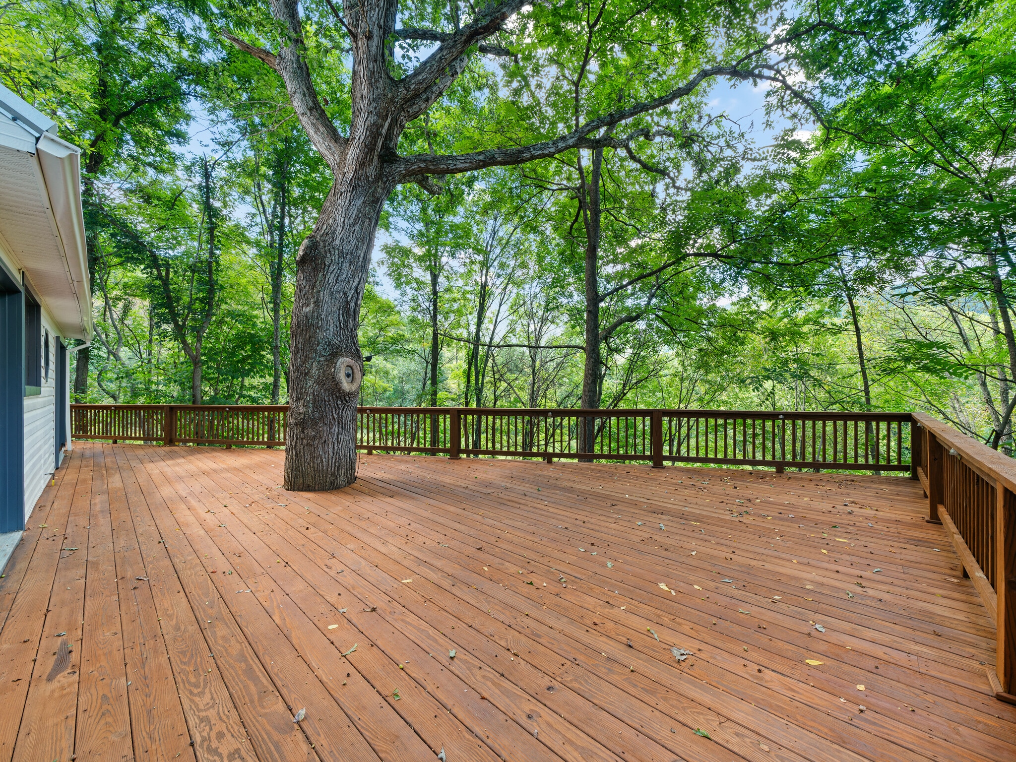 Building Photo - 1896 Highway 80 S
