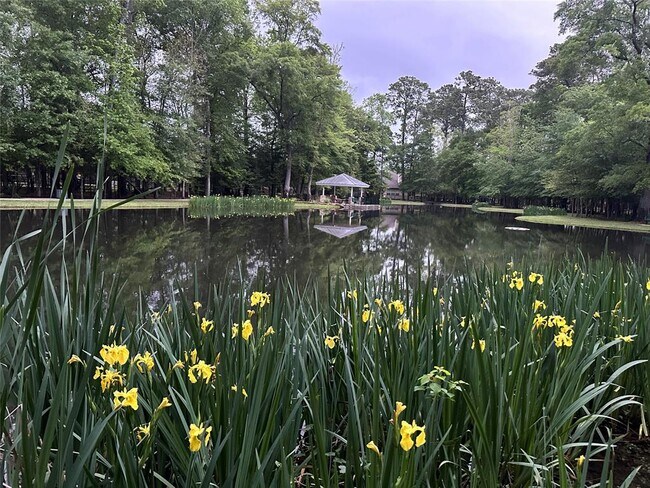 Building Photo - 19839 Driver Forest Dr