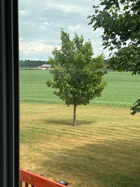 Backyard - N7339 Meadowlark Rd