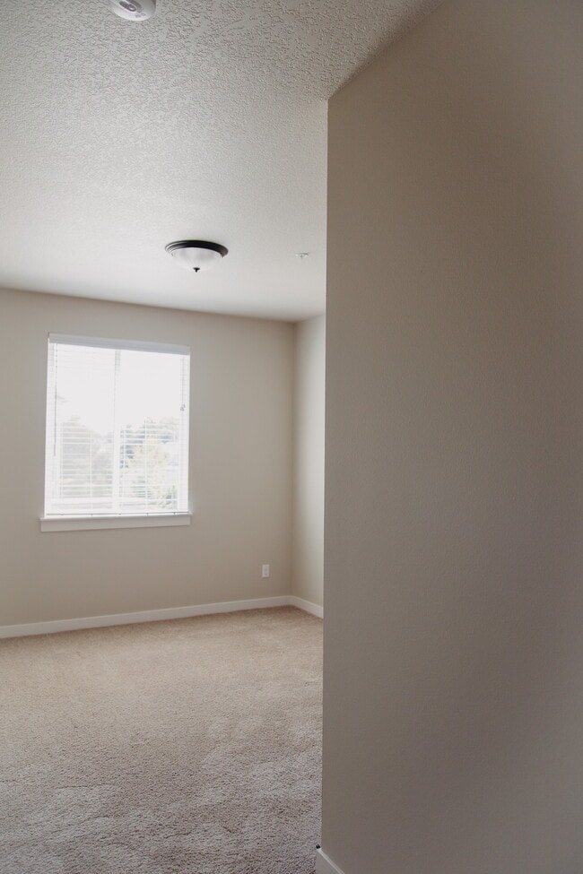 Building Photo - Sunlight Estates