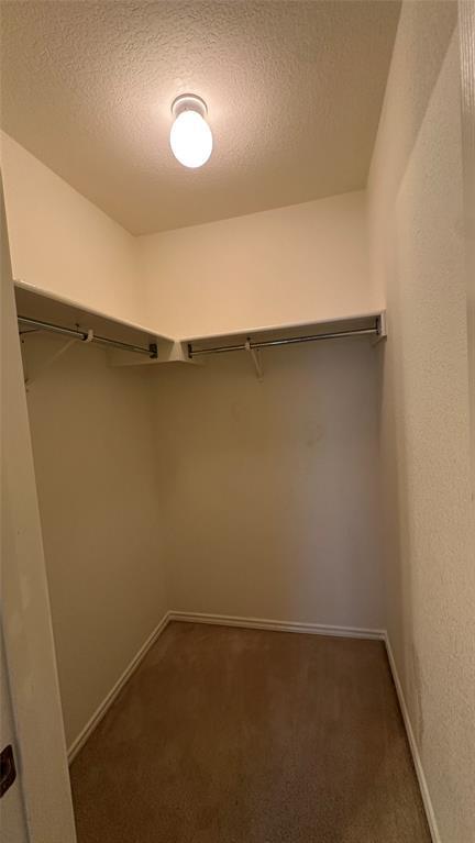 Building Photo - 13105 Lofton Cliff Dr