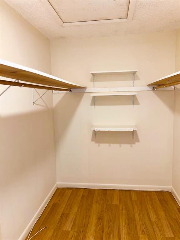 Building Photo - 3094 Bermwood Ln