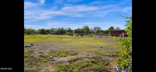 Building Photo - 4151 Emory Rd