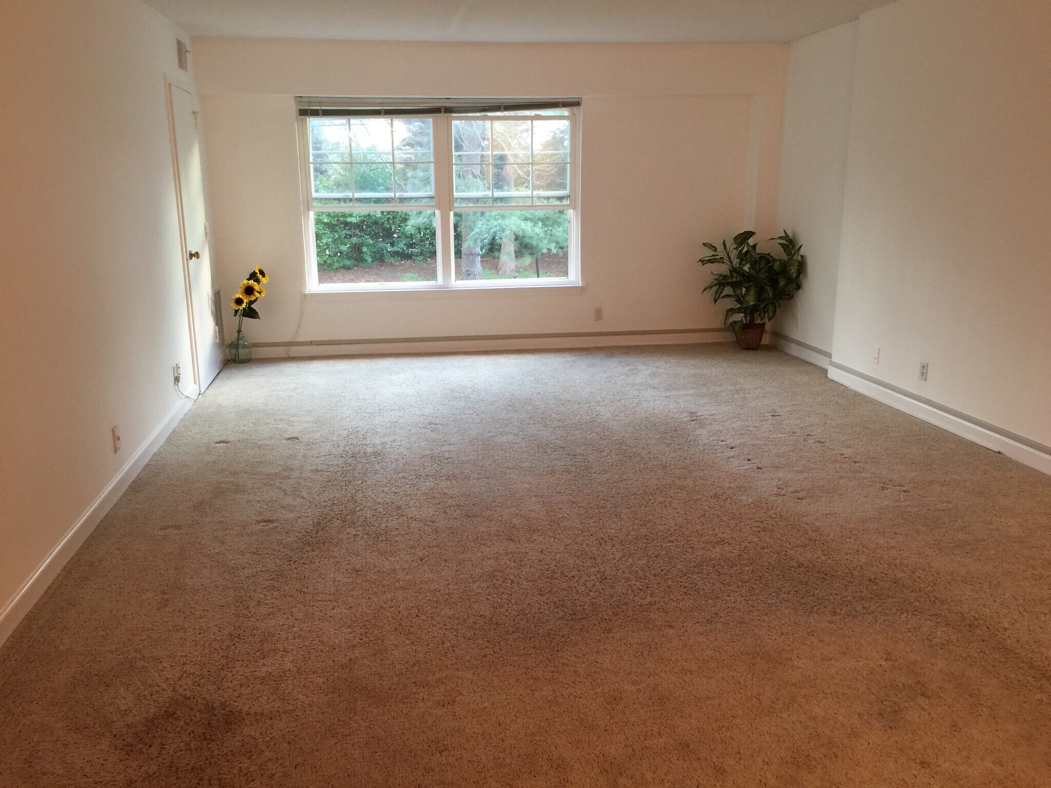View of partial living room - 7630 Provincial Dr