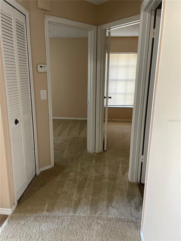 Building Photo - 1317 Lucaya Cir