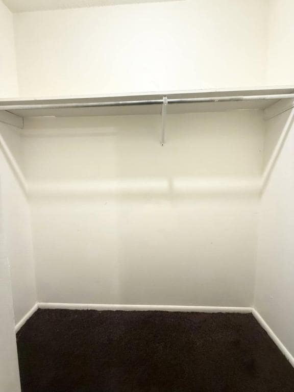 Building Photo - 1620 Newport Pl