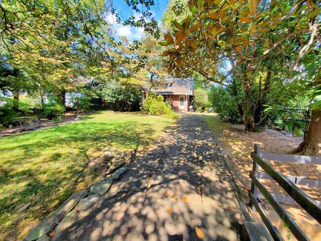 Backyard from Parking - 18 Poinsett Ave