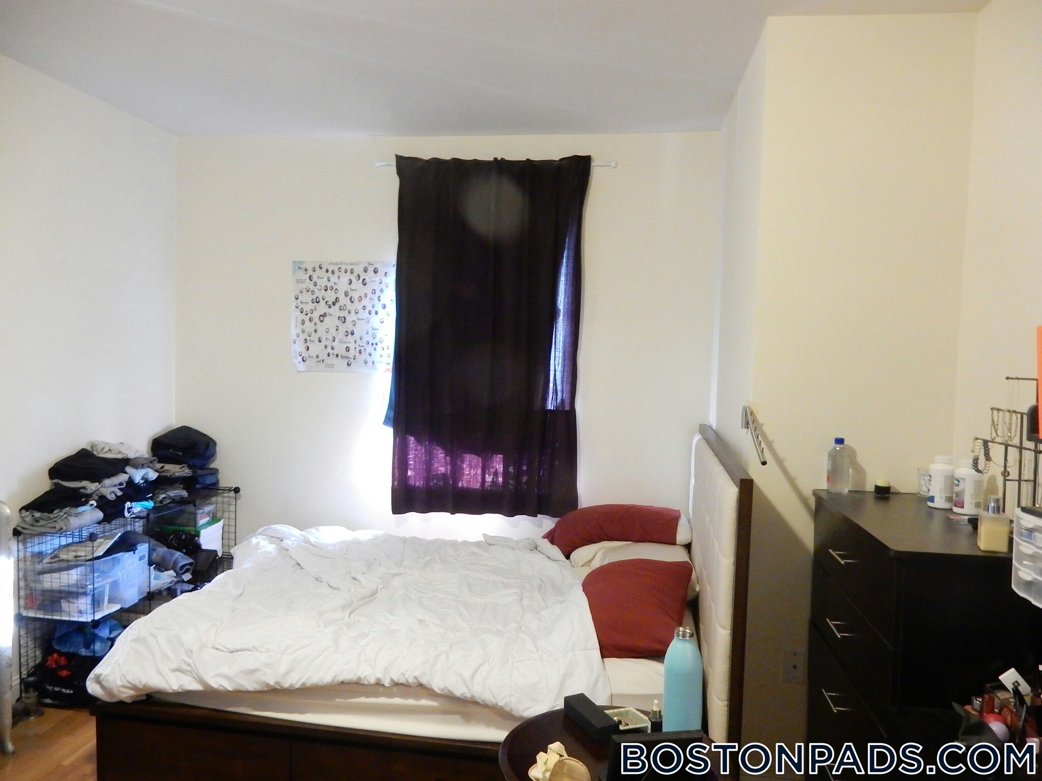 Building Photo - 56 Egmont St