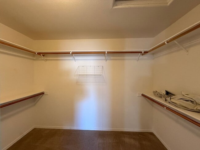 Building Photo - Spacious Single Story 4 Bedroom, 2 Bathroo...