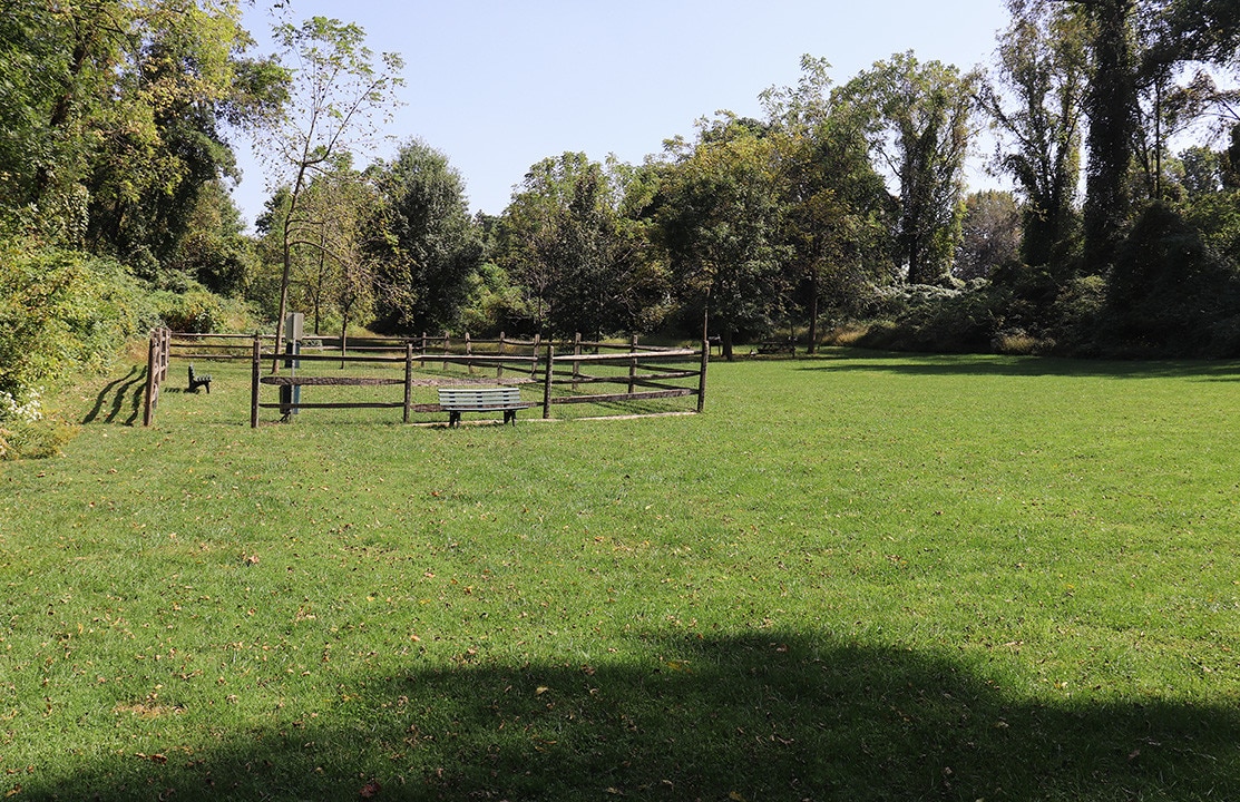 Building Photo - Springside Manor