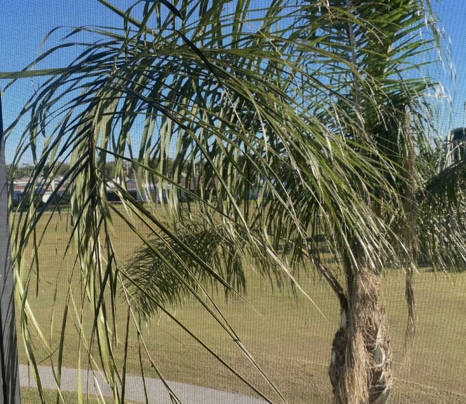 Building Photo - 3645 Boca Ciega Dr