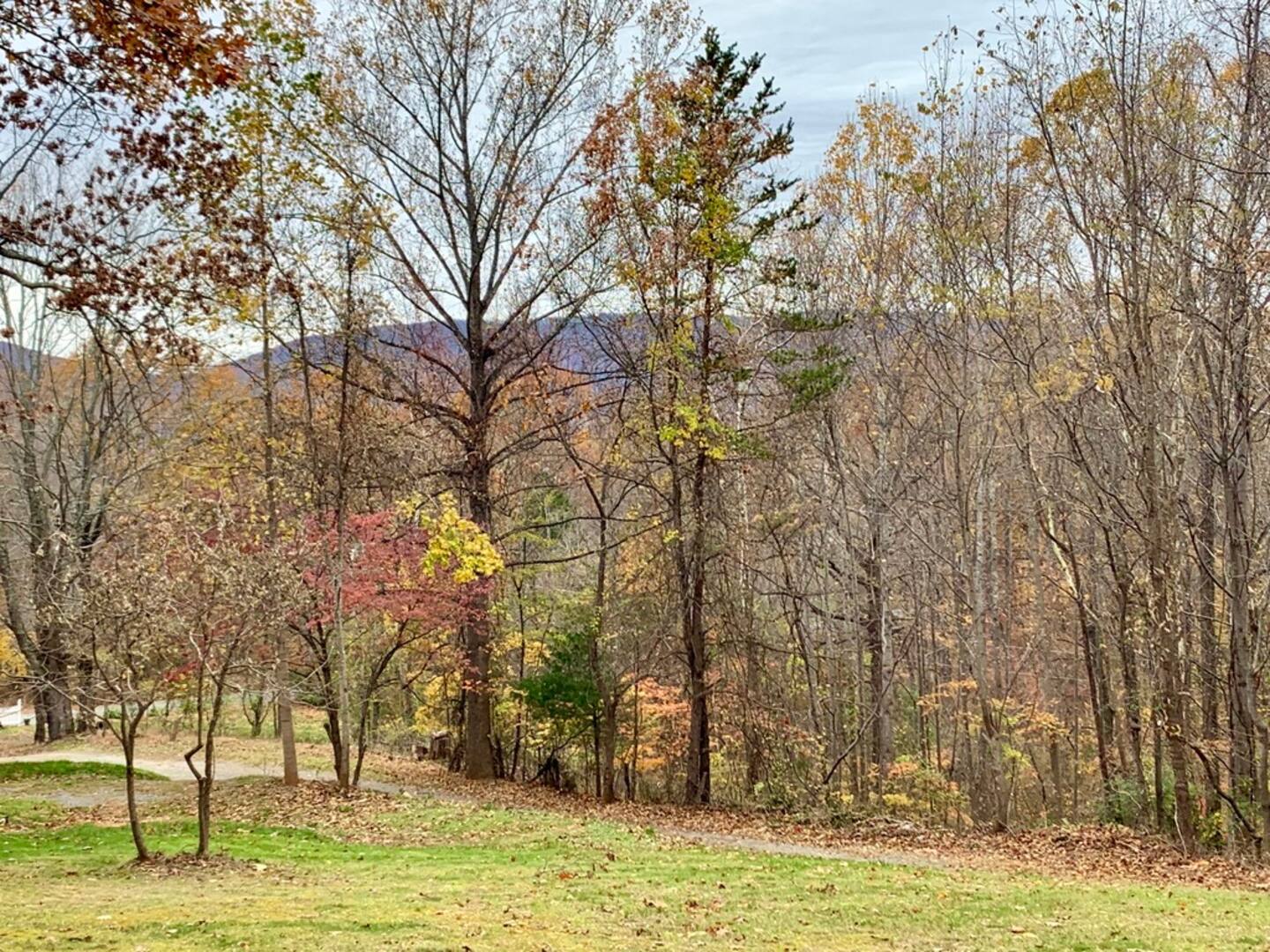 Building Photo - 621 Durrett Town Rd