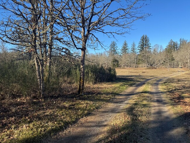 Building Photo - Secluded cottage 2 BR w/ bonus on acreage