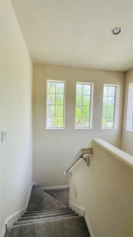 Building Photo - 2939 Willowleaf Ln