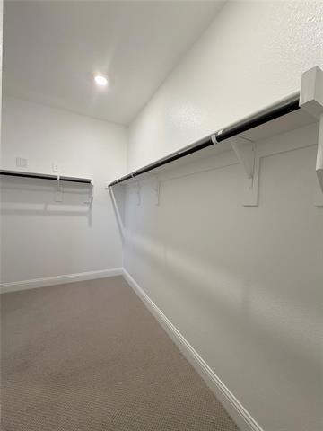 Building Photo - 418 Blanton St