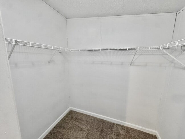 Building Photo - 4472 Cedar Ridge Ln