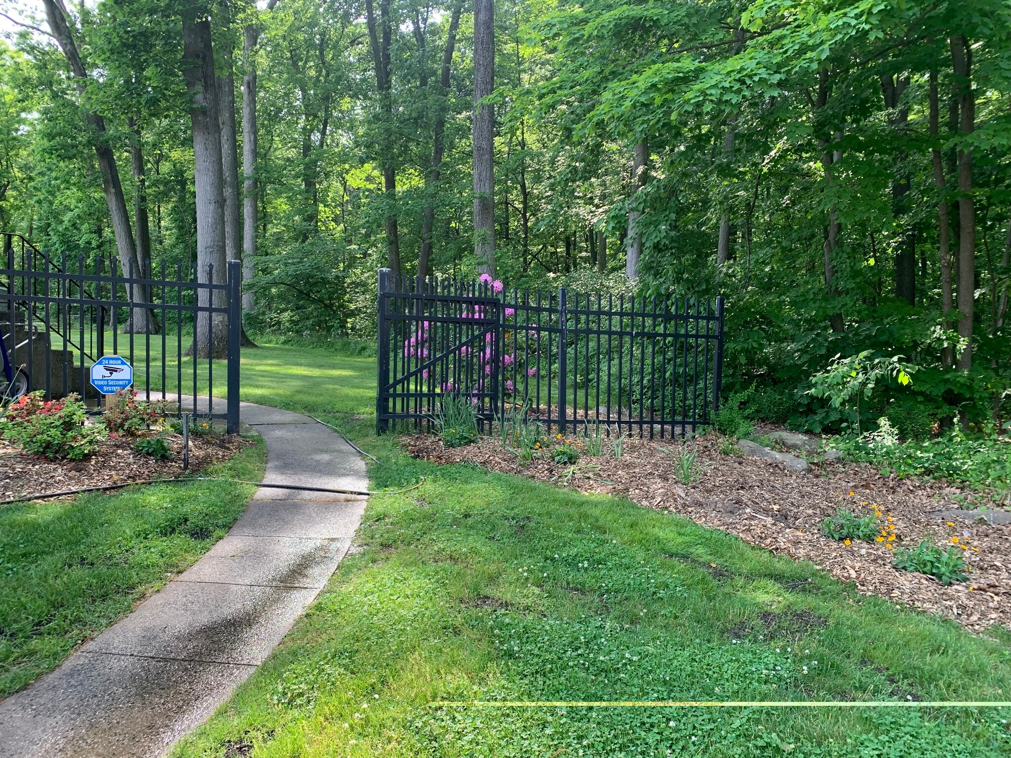 Wooded backyard - 1308 Slater Rd