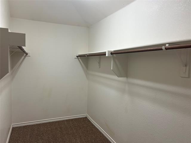 Building Photo - 1616 Bluebird Dr