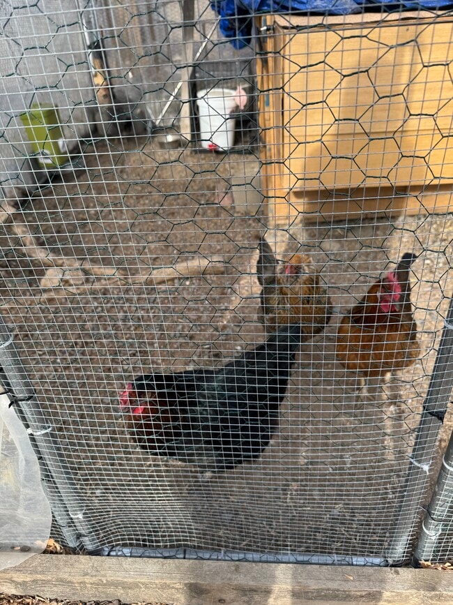 Building Photo - 417 Skyway Dr