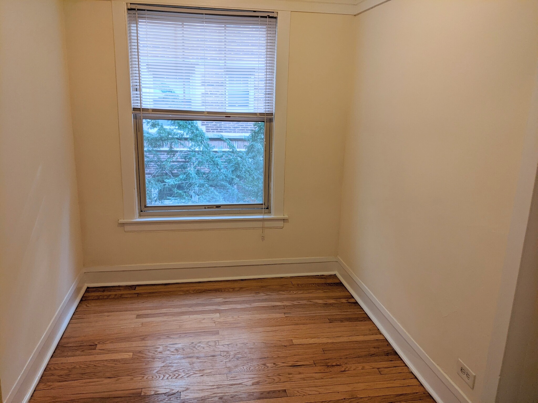 Building Photo - 517 W Brompton Ave