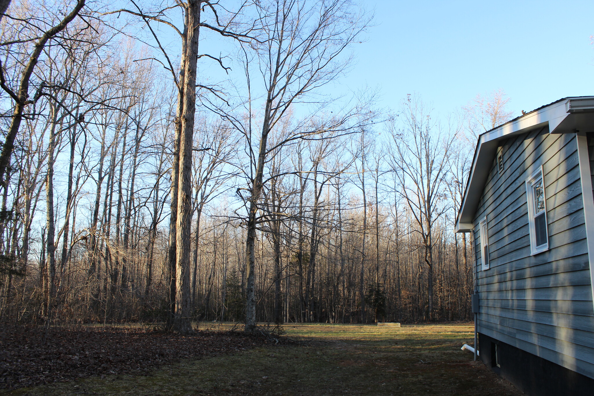 Building Photo - 9033 Rapidan Dr