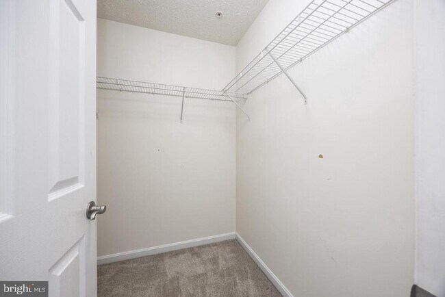 Building Photo - 9549 Wedge Way