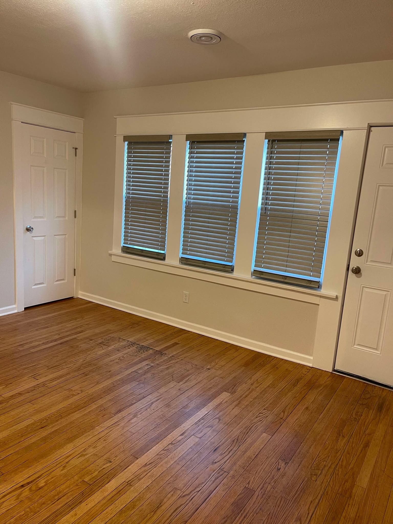 Living room - 1104 W Chambers St