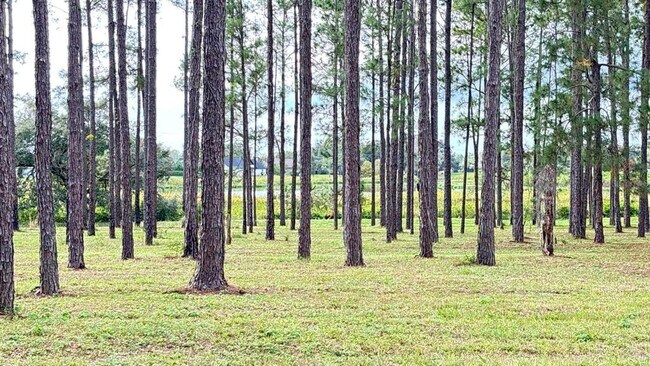 Building Photo - 20721 Angels Landing Ct