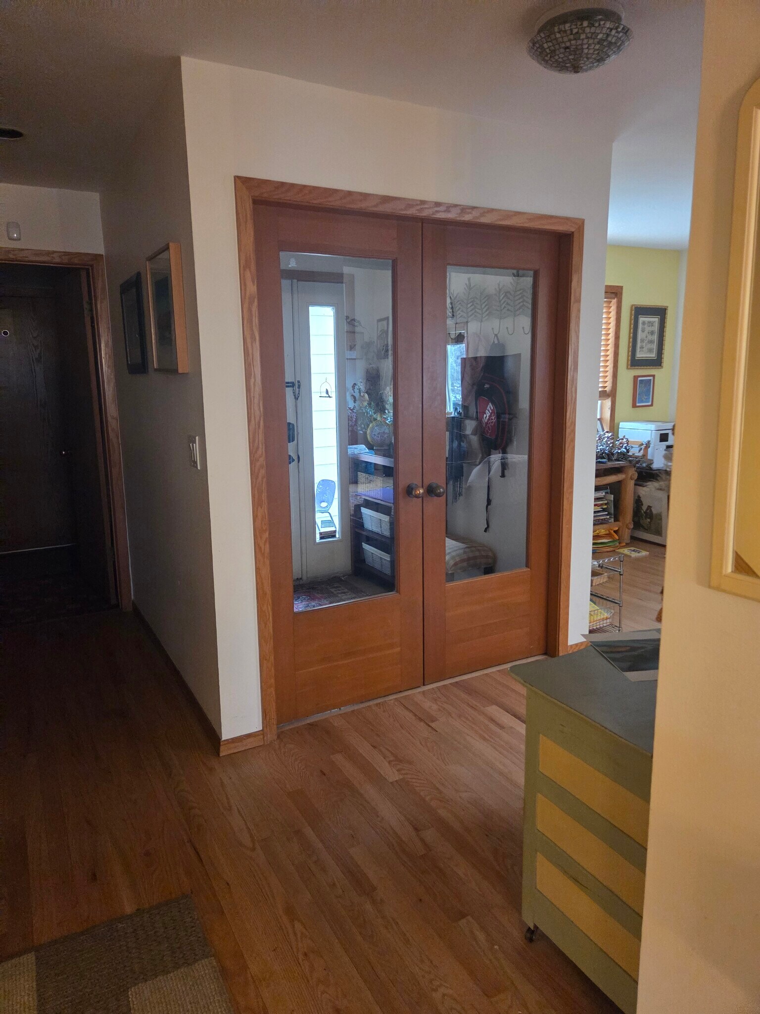 front door - 3643 Roundtree Ct