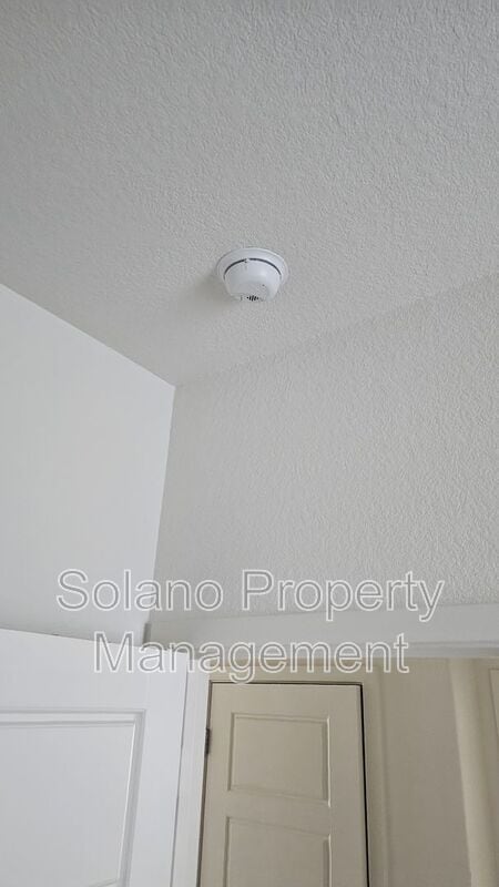 Building Photo - 1317 Essence Ln